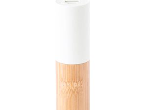 Power Bank Eco