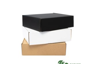 CAJA AUTOARMABLE 19x10x4cm
